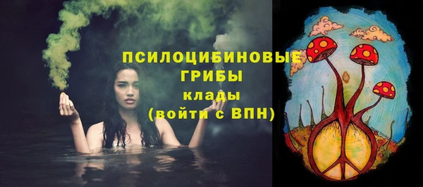 mix Верея