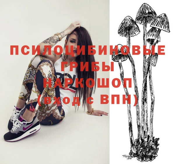 PSILOCYBIN Верхний Тагил