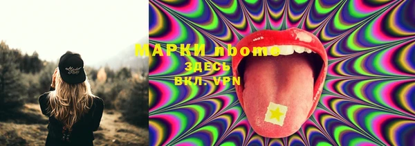 PSILOCYBIN Верхний Тагил