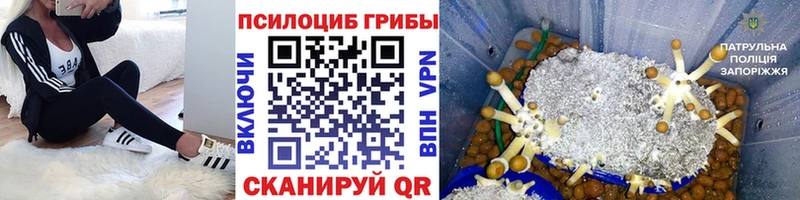 Галлюциногенные грибы GOLDEN TEACHER  hydra   Воскресенск 